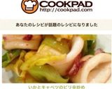 いかとキャベツのピリ辛炒め作り方6写真