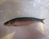 ひらいたイワシでお魚餃子作り方1写真