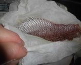 活！スモーク鯛のカルパッチョ作り方8写真