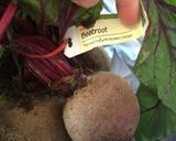 大麦&ひよこ豆 野菜たっぷりスープ作り方4写真