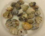 アクアパッツァ作り方5写真