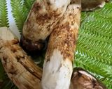 オーブントースターで焼きまったけ作り方2写真