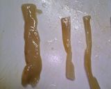 レモンでさっぱりメンマと白髪ネギ作り方2写真