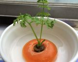 ダブルにんじんサラダ作り方4写真
