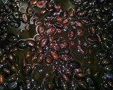 ◆黒豆◆圧力鍋で簡単♪作り方5写真