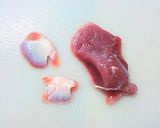 コリコリがたまらない~砂肝の塩レモン炒め作り方2写真