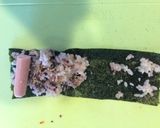 簡単海苔巻き作り方1写真