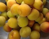 完熟梅で甘酸っぱ梅ジャム作り方1写真