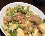 ゴーヤーチャンプルー作り方9写真