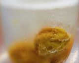 酵素ジュース★塩糀でつくる梅シロップ作り方5写真