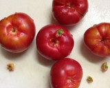 まるごとトマトマリネ☆ミディトマトで作り方1写真
