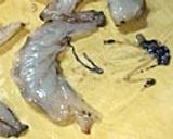 エビのペペロンチーズトースト作り方1写真