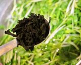 簡単にあと一品☆もやしと豆苗のナムル作り方2写真