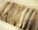 酢じめイワシの梅和え薬味まみれ作り方3写真