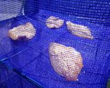 アイゴのみりん干し作り方4写真