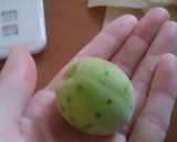 冷凍不要☆簡単!梅シロップ作り方4写真