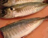 鯵の骨せんべい作り方1写真