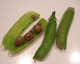 赤えんどう豆ごはん作り方1写真