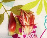 みょうがと大根の牛肉のっけ盛り作り方3写真