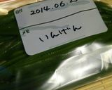 いんげんの胡麻和え♪作り方4写真