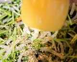 簡単にあと一品☆もやしと豆苗のナムル作り方6写真