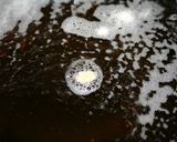 パパレシピ・ぶりのフライ作り方4写真