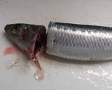 圧力鍋で作るいわしの生姜煮作り方2写真