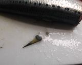 圧力鍋で作るいわしの生姜煮作り方5写真