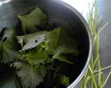 大葉）短時間で大量消費（青じそ作り方2写真