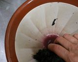 カリカリ梅作り方11写真