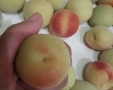 簡単！ジップロックで作る梅干し作り方1写真