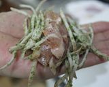 青のりの香り♪ごぼうと豚肉のぱりぱり焼き作り方4写真