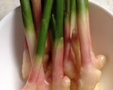 谷中生姜の醤油漬け作り方1写真