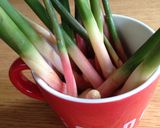 谷中生姜の醤油漬け作り方3写真