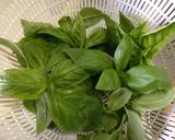 レンジで簡単 乾燥バジル作り方1写真