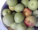 梅のビール煮作り方1写真