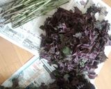 梅干しの作り方作り方7写真