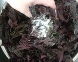 梅干しの作り方作り方11写真