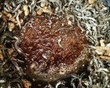 くるみと小魚の甘辛炒め(田作り風)作り方5写真