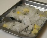 熱中症予防に☆塩レモンとミントのグラニテ作り方5写真