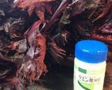 濃厚〜赤紫蘇ジュース作り方1写真