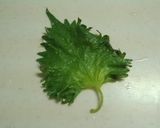 しその保存☆作り方8写真