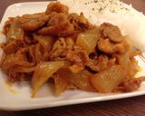 豚肉と玉葱だけ☆簡単絶品ポークチャップ作り方7写真