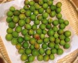 長期熟成10年梅酒作り方1写真