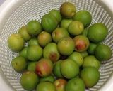 長期発酵・半熟梅で作る梅酵素作り方2写真