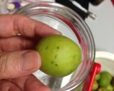 長期発酵・半熟梅で作る梅酵素作り方3写真