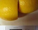 塩レモン 工程完全写真あり一週間の作り方作り方3写真