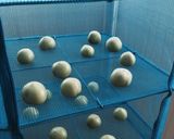 青トマトのピクルス作り方7写真