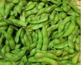 枝豆 美味しく茹でる作り方8写真