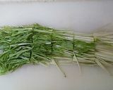 20分　夏バテ解消鳥胸肉と野菜のごまだれ作り方8写真
